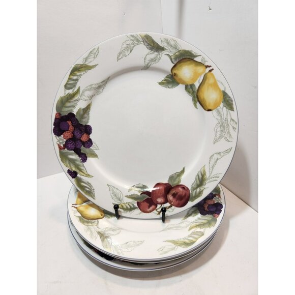 Todays Home Stoneware Fruit Dinner Plates 10.5" Set of 4 Red Green Yellow Purple - Picture 1 of 8